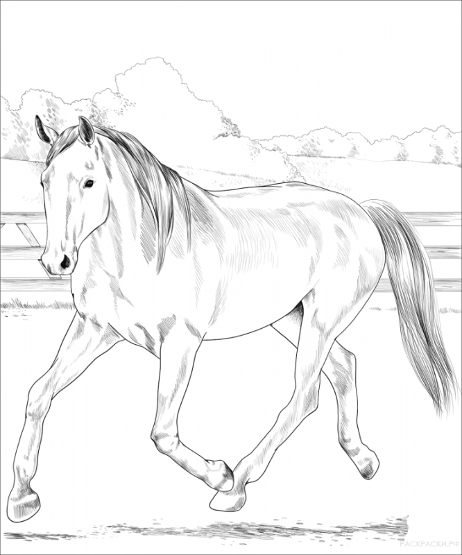 Раскраска лошадка Единорог