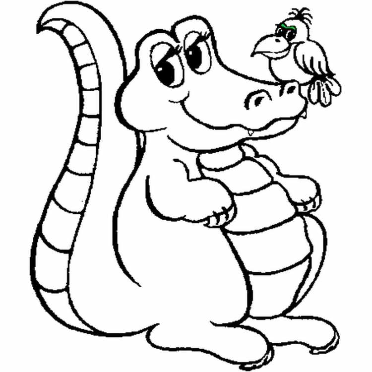 Аллигатор раскраска PNG