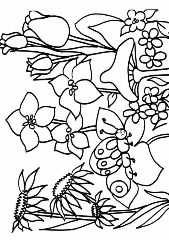 Весенний пейзаж раскраска