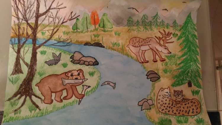 Детский рисунок заповедник