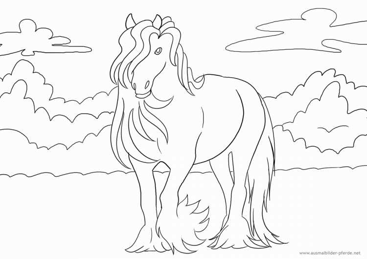 Раскраска. Лошади