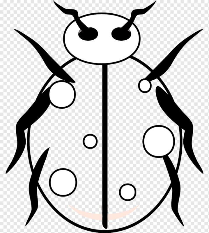 Раскраска насекомые Божья коровка
