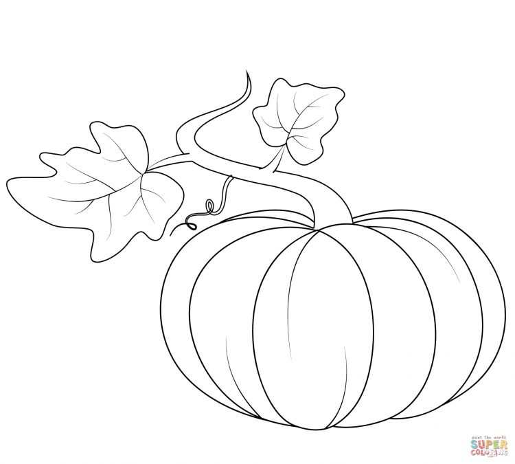 Тыква раскраска для малышей