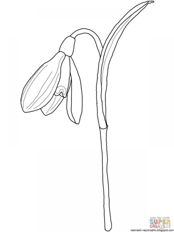 Подснежник для детей