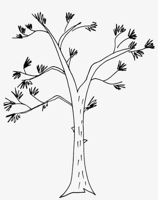 Береза тушью