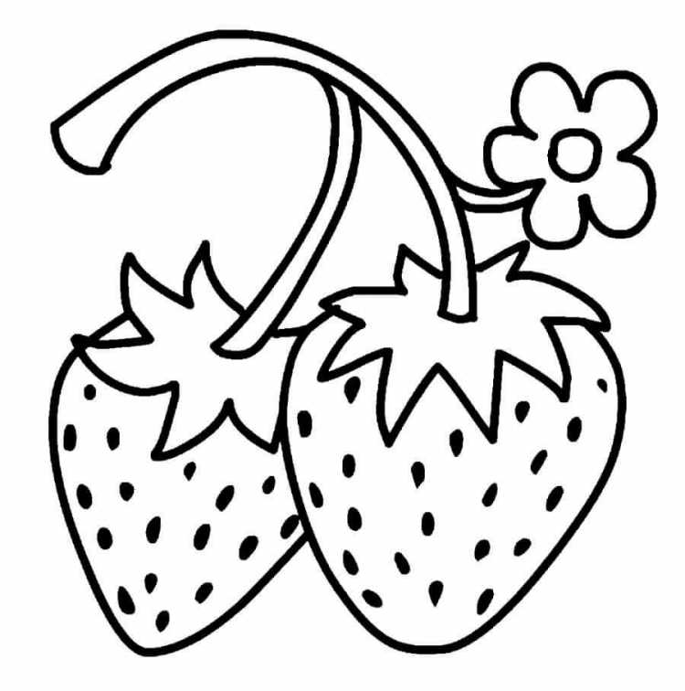 Раскраска "фрукты"