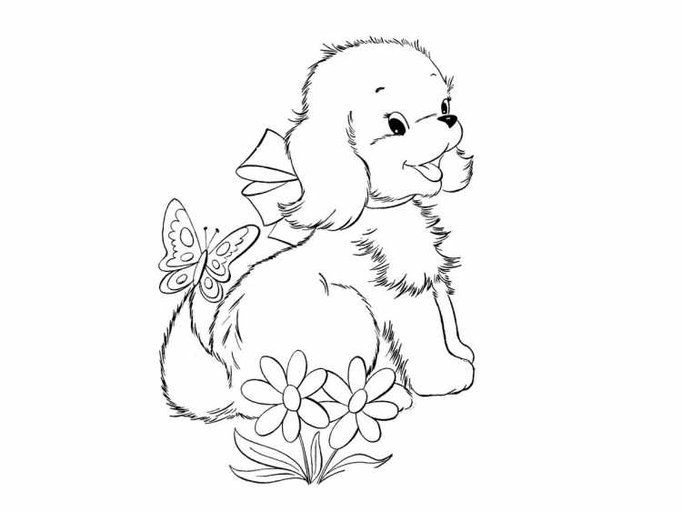 Раскраска малышам «собачка»