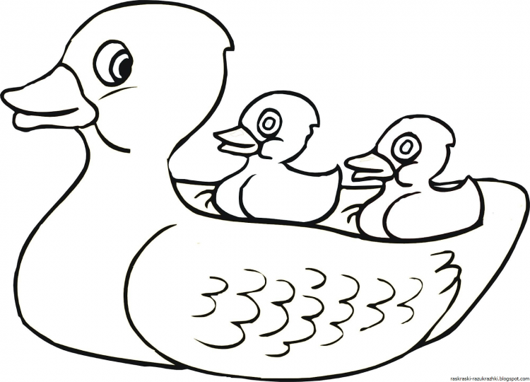Трафарет утки для раскрашивания