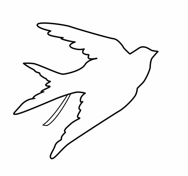 Ласточка раскраска