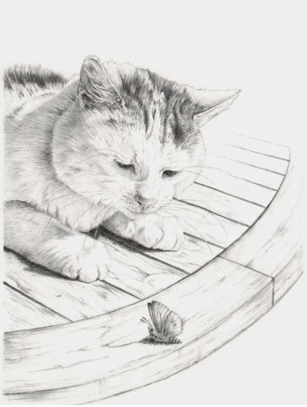 Бездомный пес