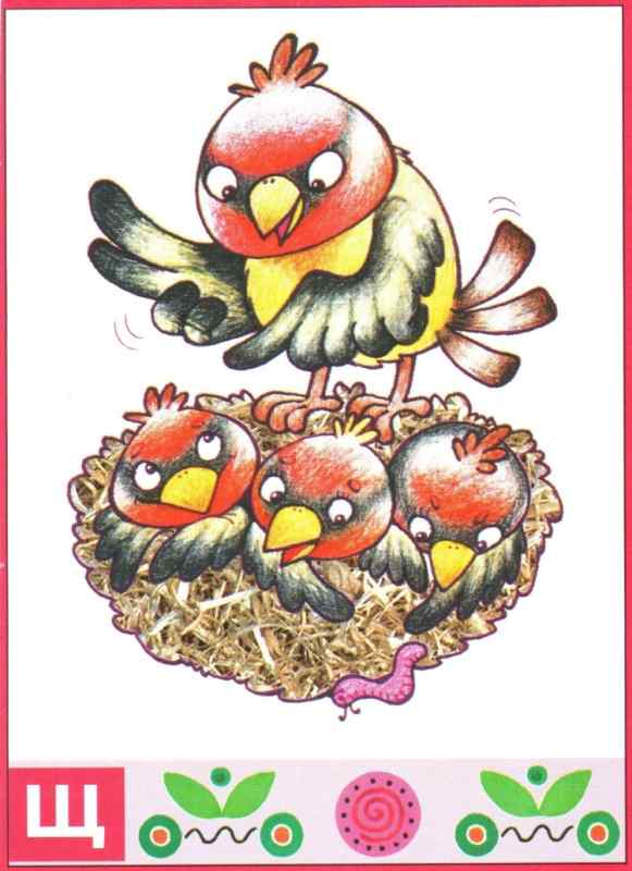 Щеглята картинки для детей