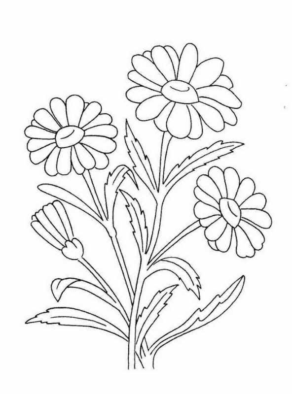 Цветы раскраска для детей