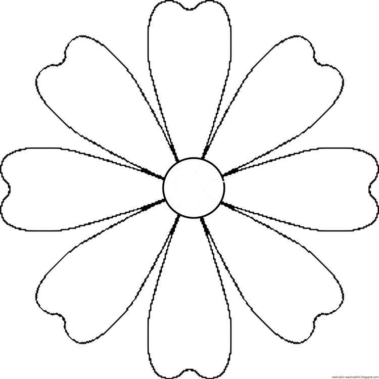 Раскраска цветок Ромашка