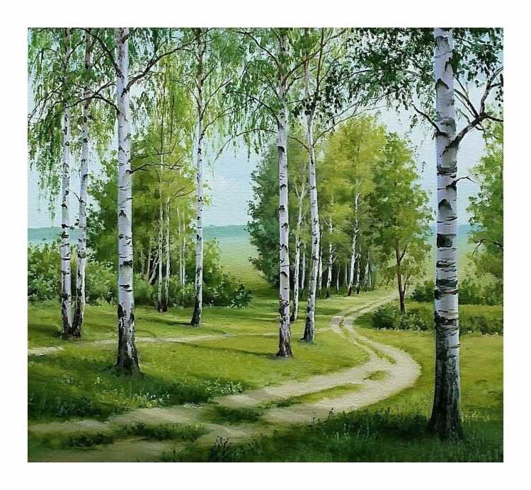 Пейзаж береза Березовая роща озеро