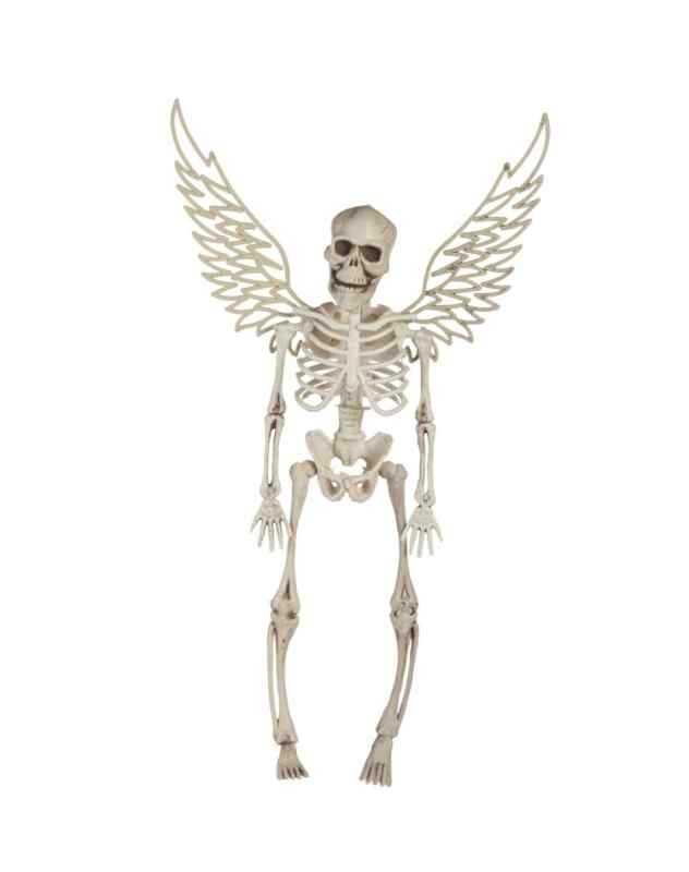 Скелет с крылышками