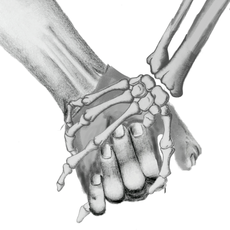 Кисть скелет сбоку