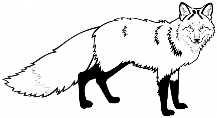 Лиса раскраска красивая