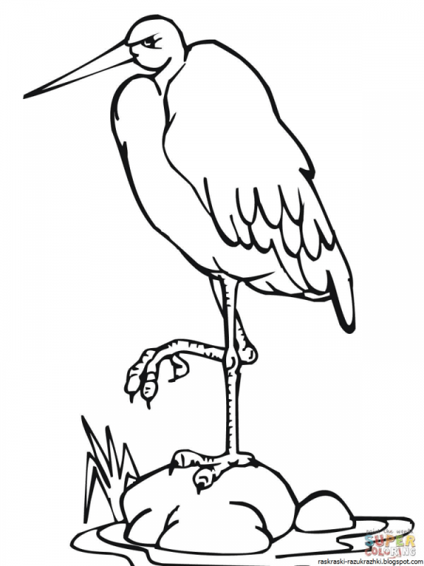 Раскраска Аист с младенцем