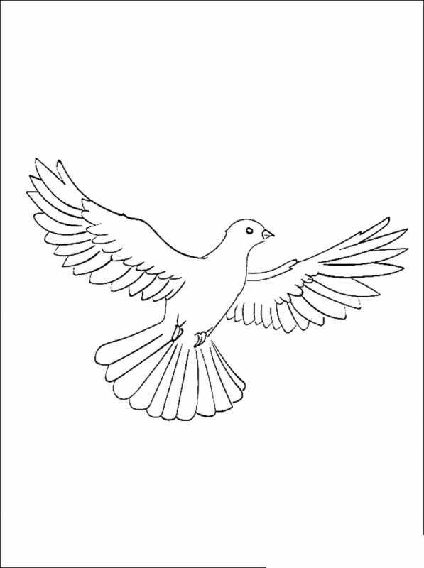 Голубь мира раскраска