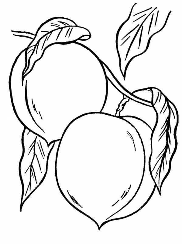 Раскраска "фрукты"