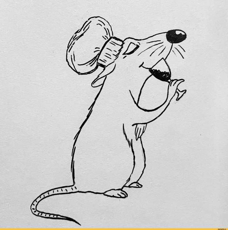 Смешной рисунок рататуя карандашом