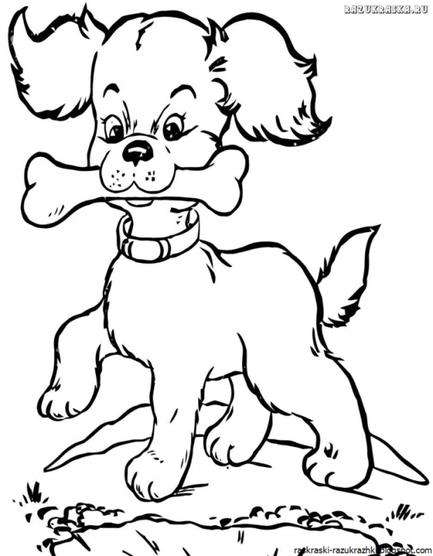 Керн терьер раскраска