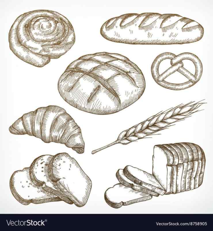 Набросок хлеба