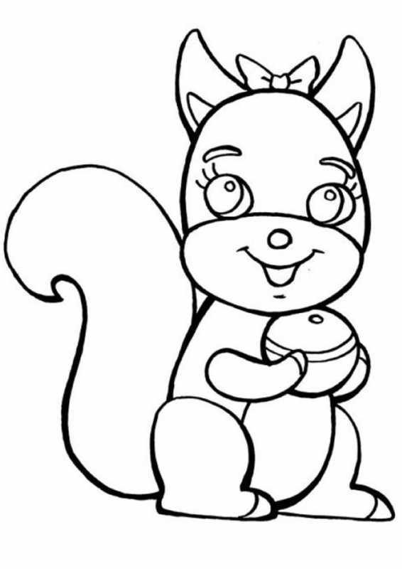 Белка раскраска