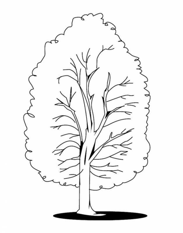 Дятел раскраска для детей