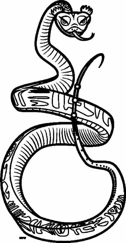 Анаконда раскраска
