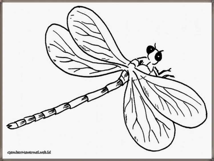 Кузнечик мультяшный раскраска