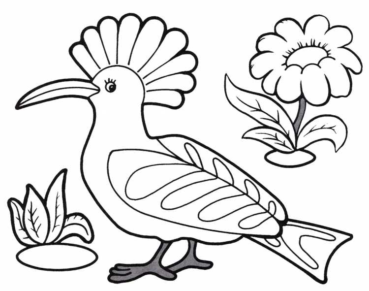 Птичка раскраска