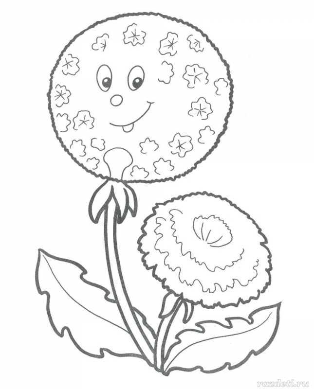 Растения черно белые