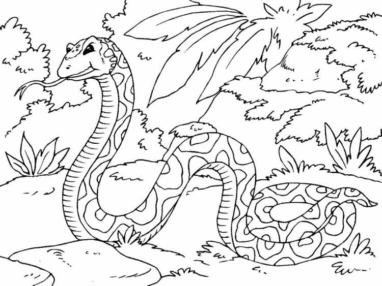 Кобра раскраска для детей
