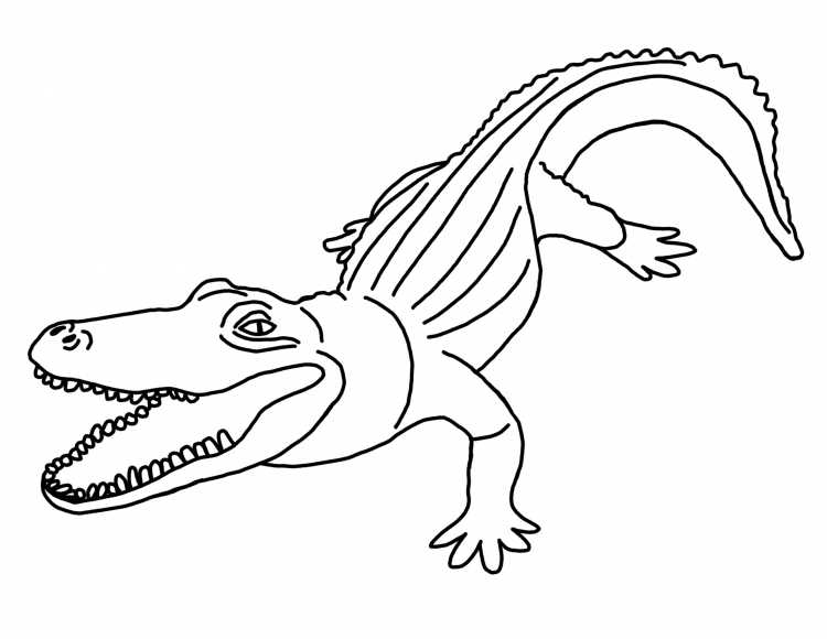 Миссисипский Аллигатор раскраска