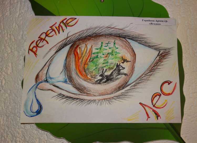 Рисунок на тему лес боится огня