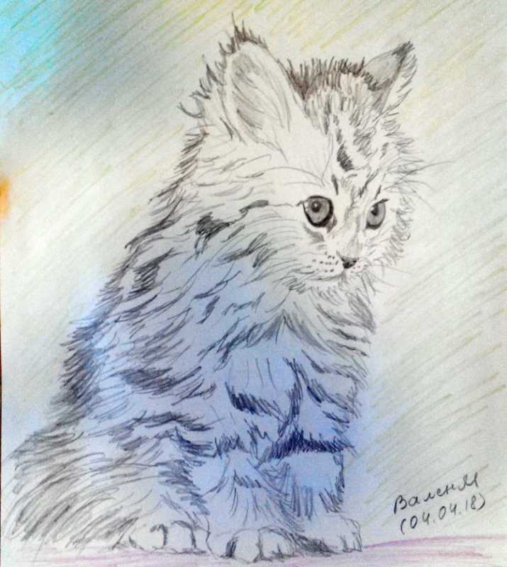 Художник Shirley Deaville