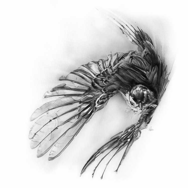 Крыло эскиз реализм