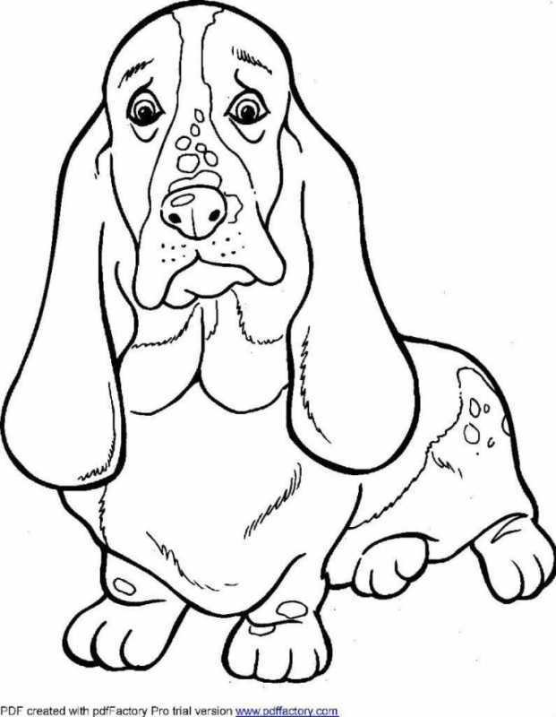Рисунки собака для печати