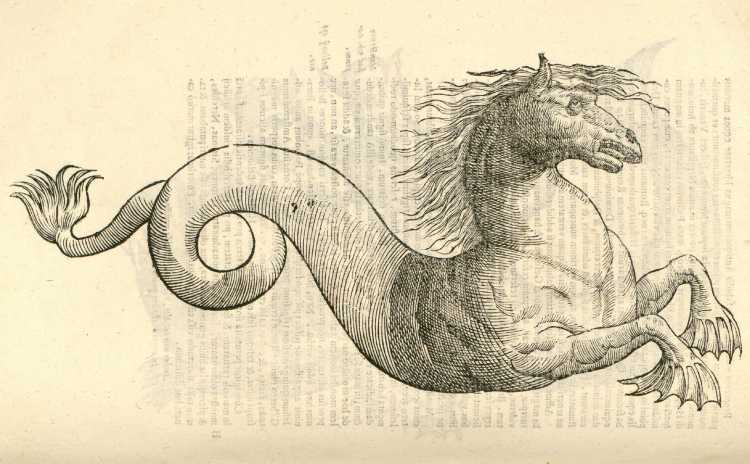 Dorotea Gizzi древнегреческие боги