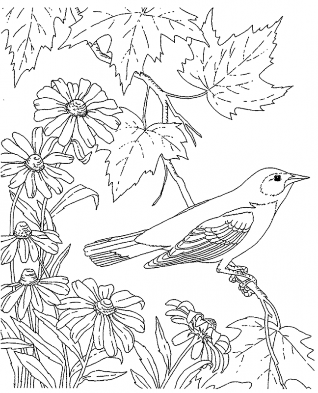 Раскраски на тему Весна