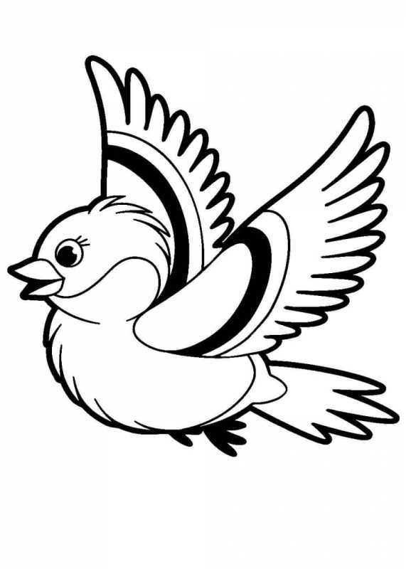 Синица раскраска для детей