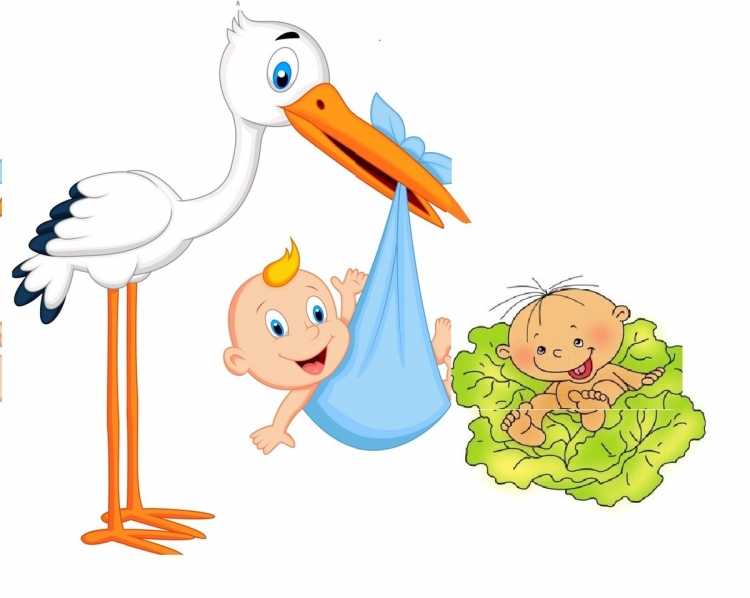 Аист раскраска для детей