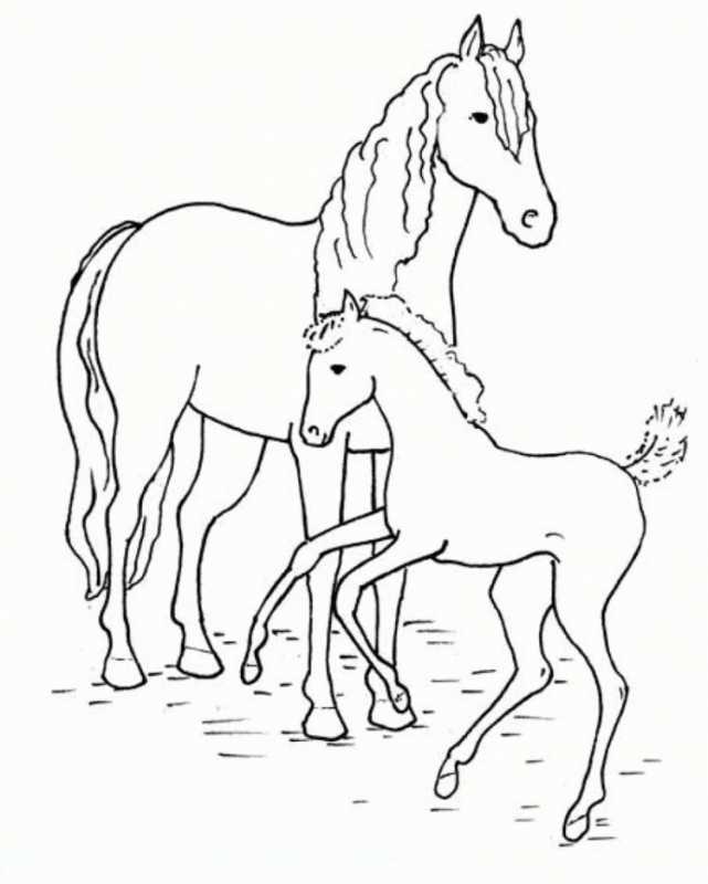 Раскраска лошадка с жеребенком