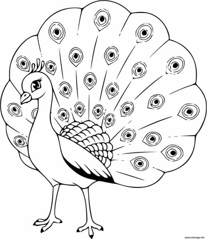Раскраска Павлин сложная