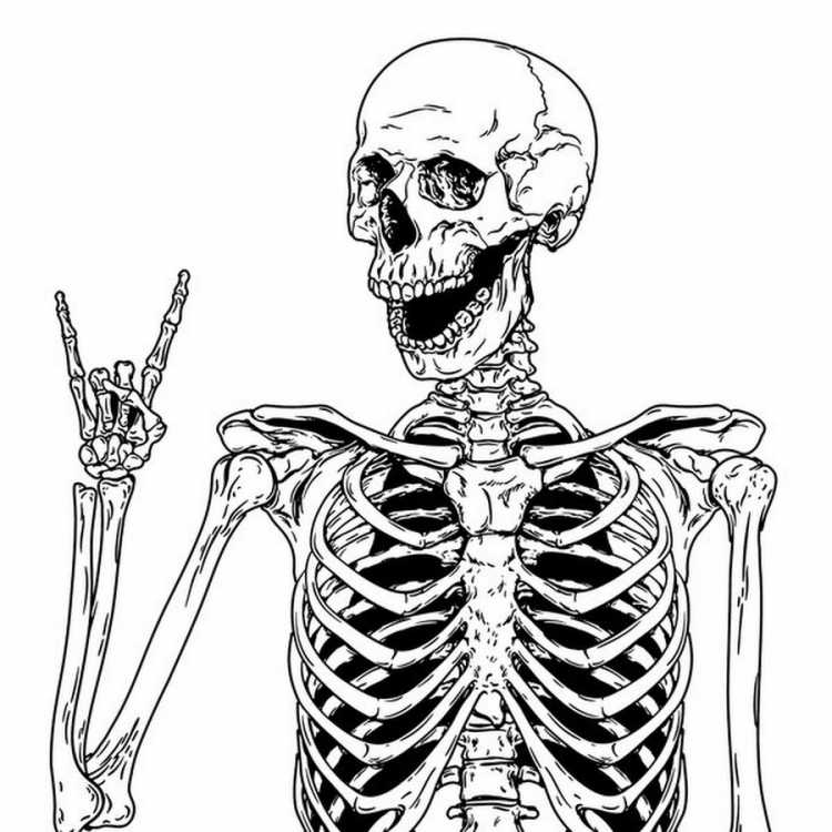 Скелет дракона