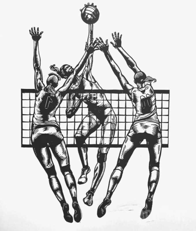 Волейбол рисунки