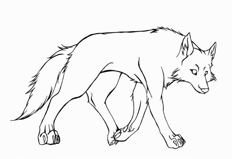 Нарисовать волка