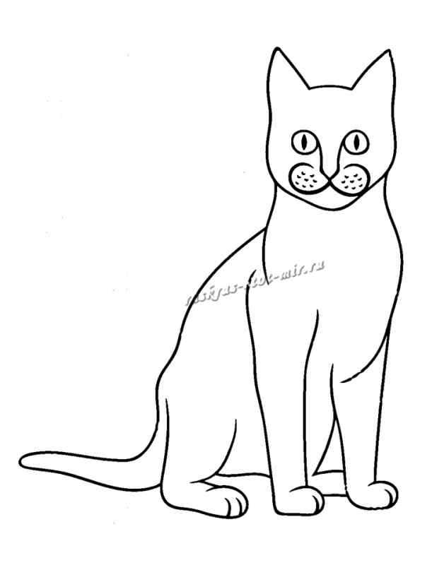Кошка раскраска для детей
