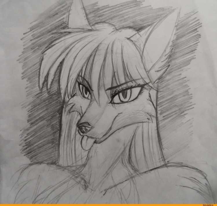 Фурри рисунки карандашом